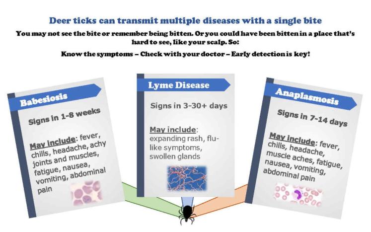Tick Diseases